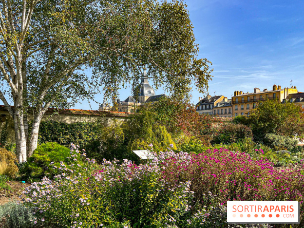 Les Saveurs du Potager du Roi à Versailles : marché de fruits & légumes, expositions et animations - image00085