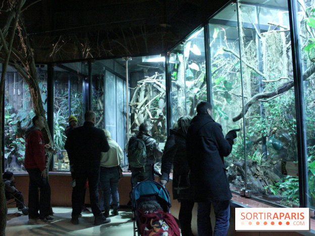 L'Arche des petites bêtes au Zoo de Thoiry