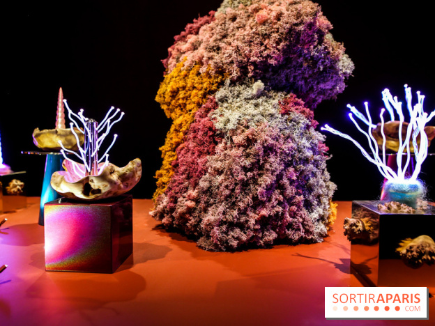 “Forêts astrales” : nos photos de l'exposition gratuite à voir à l'Institut suédois à Paris - IMG 5978