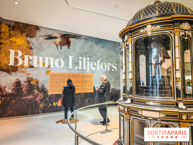 Bruno Liljefors, la Suède sauvage : l'exposition poétique se dévoile en images au Petit Palais - IMG20240930093907