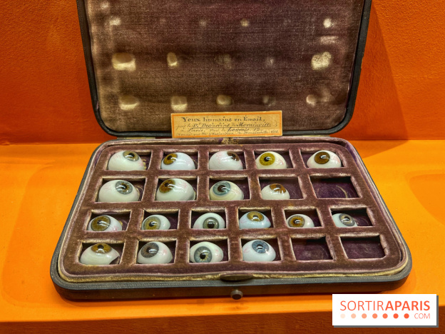 Merveilles - Sèvres - IMG 5130