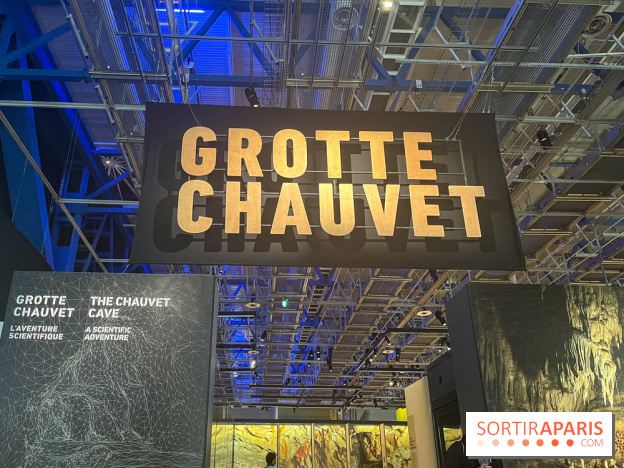 La Grotte Chauvet à la Cité des Sciences, nos photos  - image00018