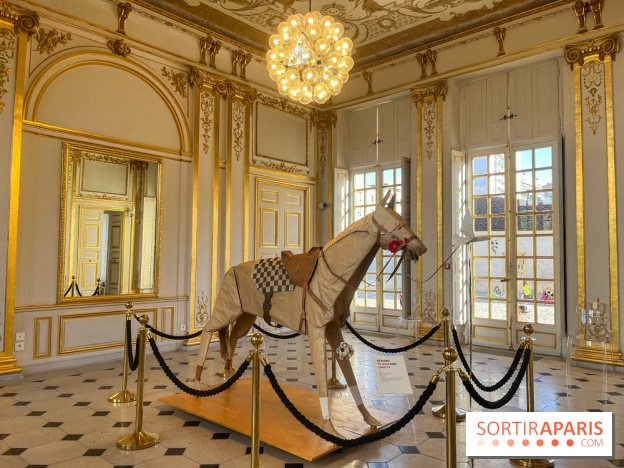 La faune en plis - nos photos - image00030