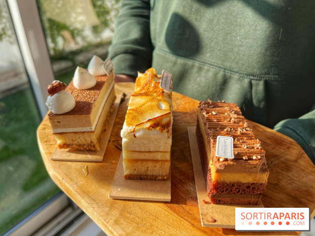 Bûches 2024 Land&Monkeys - IMG 7481