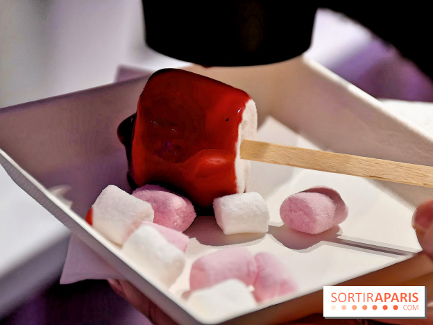 Le Pop-Up Store Yves Saint-Laurent Beauté à Pairs - IMG 5227