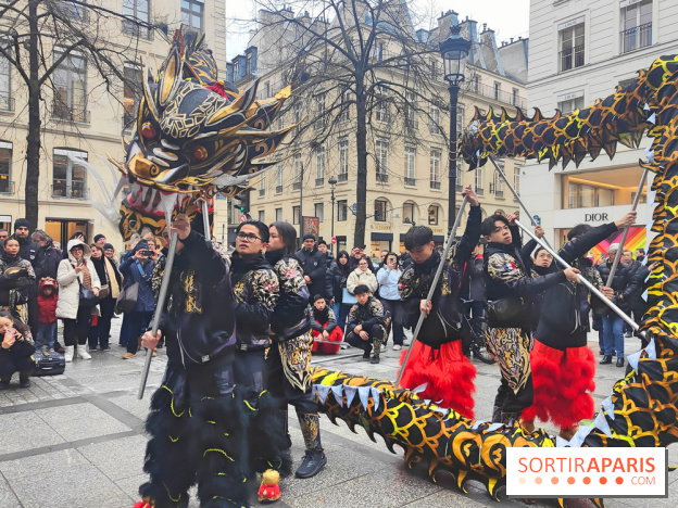 Défilé du Nouvel An Lunaire-Chinois Faubourg Saint-Honoré  - fotor 1738762270959