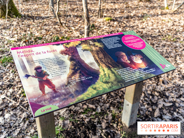 Balade sentier : Conte de Mélida, l'esprit de la forêt en forêt de Méridon (78) - A7C02306