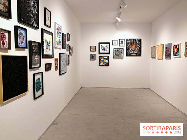 C’est pas la taille qui compte III, nos photos - Expo Street art 1