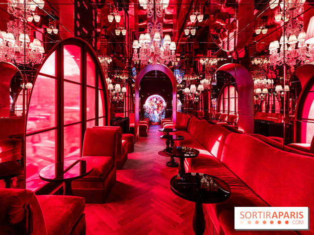 L'Hôtel Sax à Paris se dévoile - les photos - A7C04678 HDR