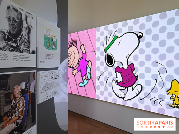 Le style Snoopy, nos photos de l'exposition - Expo Snoopy 1 fotor 20250401175551