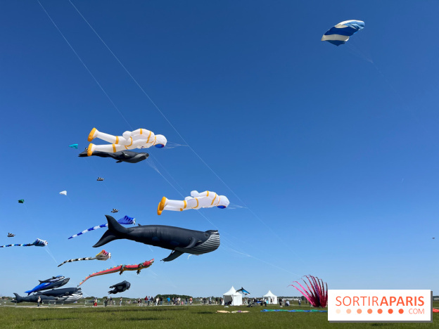 Festival de Cerfs-Volants à la Base 217