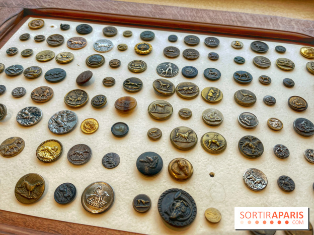 Collection dédié aux chiens - IMG 2308