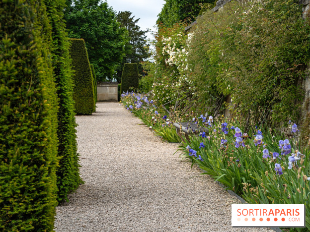 Exposition Van Gogh, les derniers voyages - photos - A7C08679