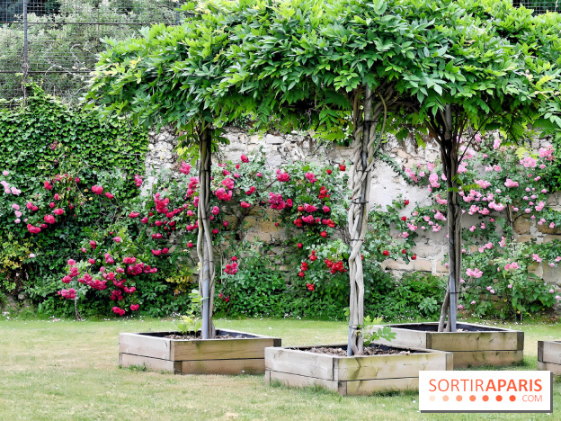 Maison Blanche le restaurant gastronomique du Mesnil Saint-Denis (93) - IMG 1038