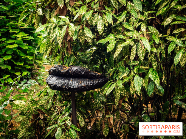 Grandeur Nature II, le festival d'art contemporain gratuit au parc du Château de Fontainebleau - A7C02755