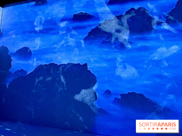 Topologie de l’Eau : Roches, Plantes et Vent - IMG 3235