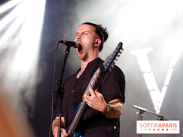 Hellfest 2025 - Samedi 21 juin, nos photos - Vestige