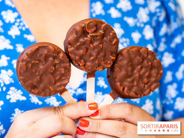 Les bouchées glacées de la Chocolaterie William Artigue, les esquimaux gourmands - A7C04178