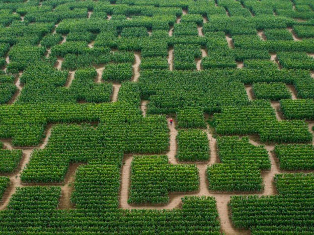 Pop Corn Labyrinthe Yvelines - 2