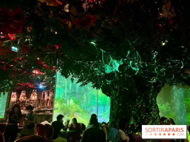 Wonderwoods - IMG 3810