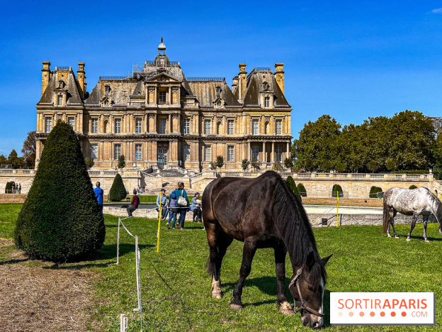 Tous en piste ! à Maisons-Laffitte (78): poneys, calèche et spectacles équestres gratuits au château - IMG 8275 jpg