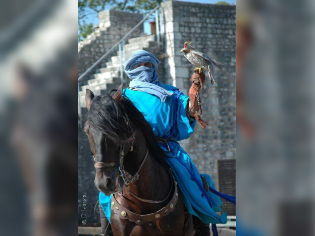 Les aigles des remparts