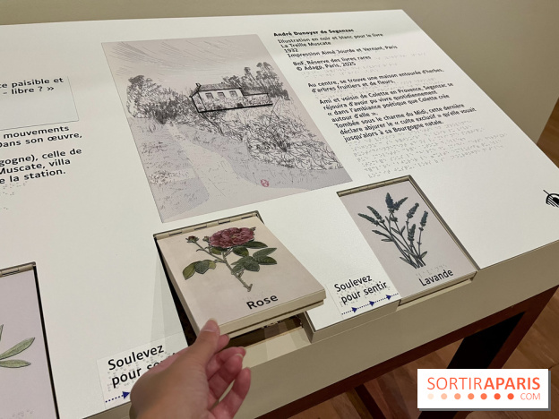 Les mondes de Colette - IMG 5323