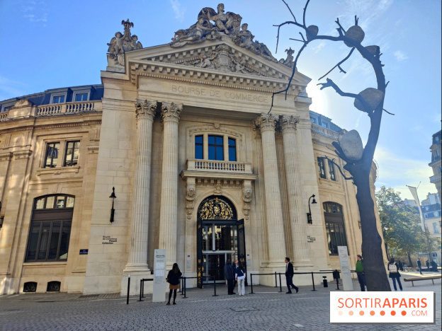 Minimal, quand l'art va à l'essentiel : l'exposition de la Bourse de Commerce se dévoile