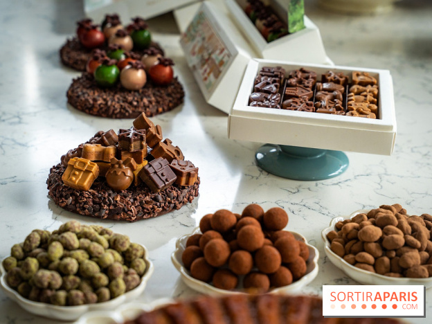 Les Bûches de Noël de Pleincœur par Maxime Frédéric 2025 et ses créations de fêtes - A7C07663