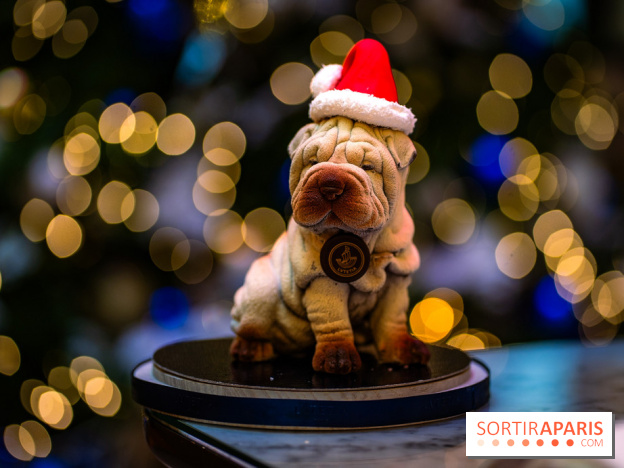 Tea time de Noël du Mandarin Lutetia 2025 par Nicolas Guercio - photos - Lulu de Noël