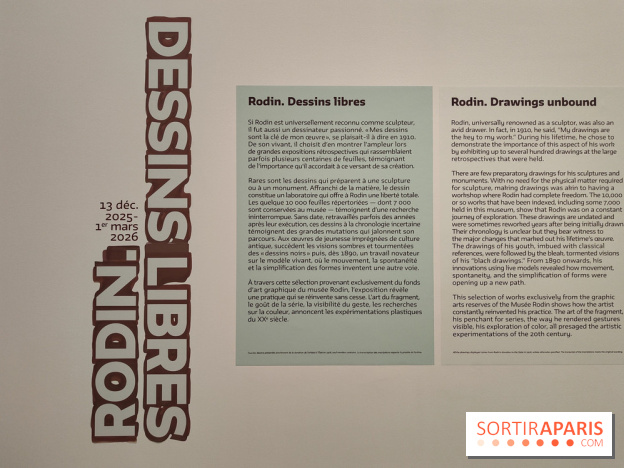 Rodin, dessins libres : une exposition d'œuvres rarement montrées au musée Rodin se dévoile