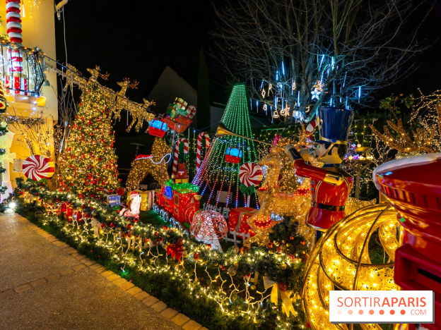 Ce passionné en Essonne transforme son jardin en Village de Noël à visiter gratuitement