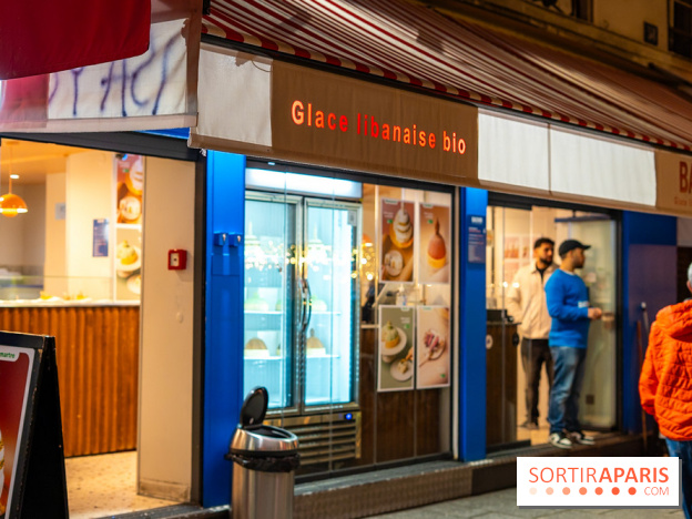 Les bûches de Noël glacées de Bachir spécial dômes parisiens  - A7C03253