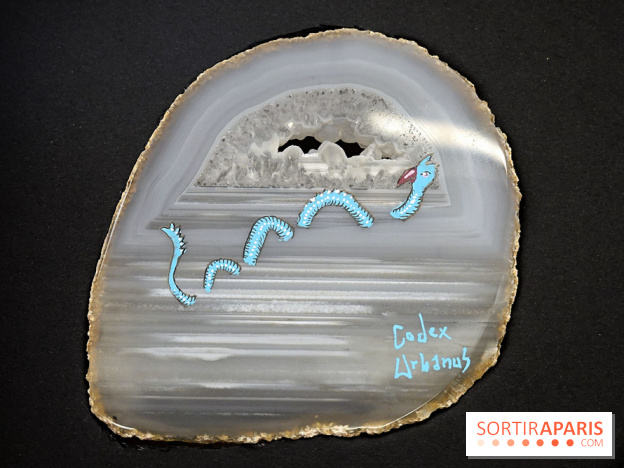 Codex on the Rocks, nos photos de l'expo au Musée de Minéralogie à Paris