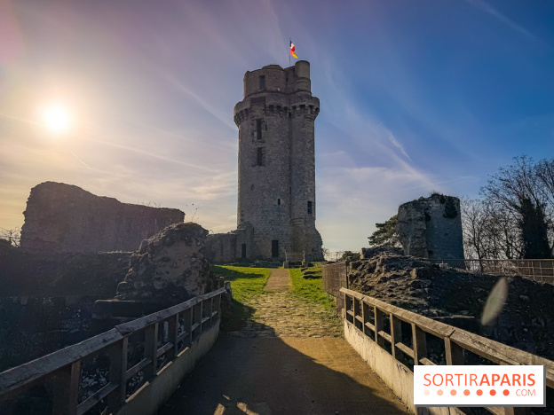 Ile-de-France : La Tour de Montlhéry au panorama unique sur l'Essonne