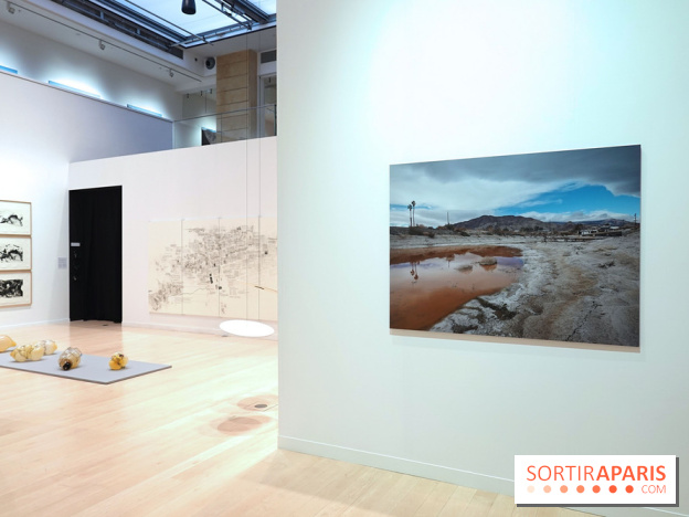 Exposition Contraste et indifférence au Centre culturel canadien - nos photos