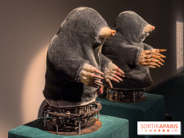 Expositions Diego Marcon et Ladji Diaby à Lafayette Anticipations - IMG 5567