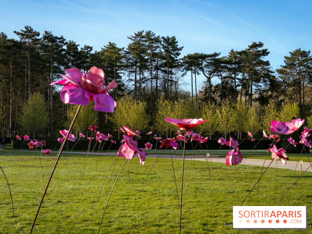 Hanami au Parc de Sceaux 2026, les cerisiers en fleurs et ses  animations