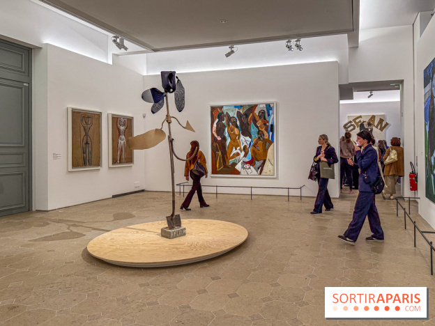 Exposition Henry Taylor au Musée Picasso - IMG 6191