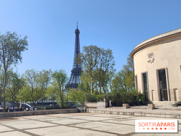Le musée d'art moderne et ses collections à Paris