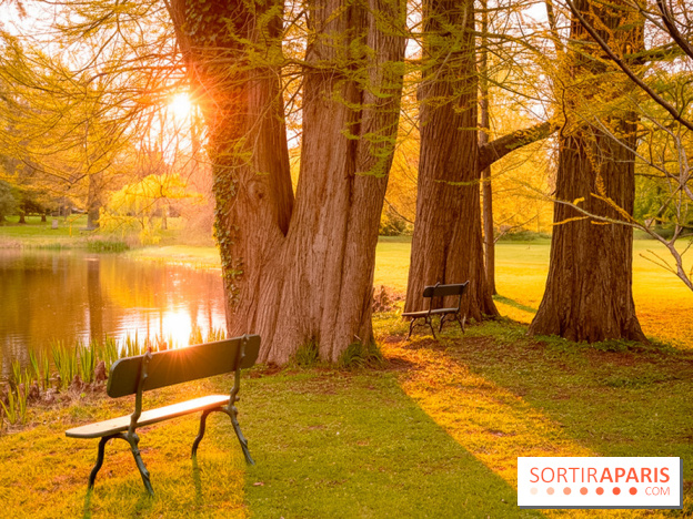 Château de Courson et son domaine : Parc Botanique et Jardin Remarquable en Région Parisienne  - A7C02963 Edit