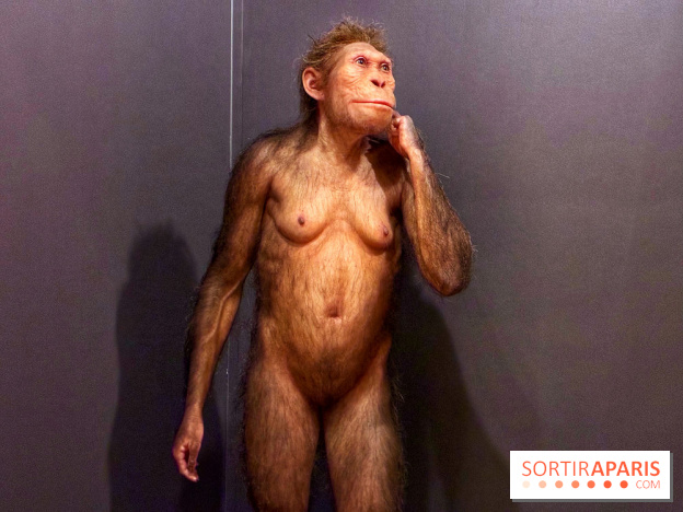 Préhistoire, entre utopie et réalité  - IMG 5555