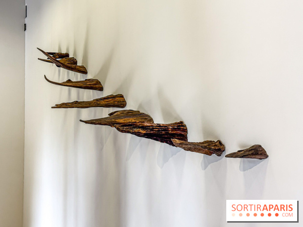 Lélia Demoisy au Domaine de Chamarande : une exposition autour des récits de forêts