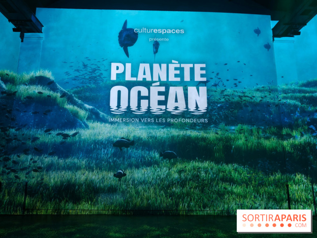 Plongez à la découverte de Planète Océan, l’exposition immersive de l’Atelier des Lumières