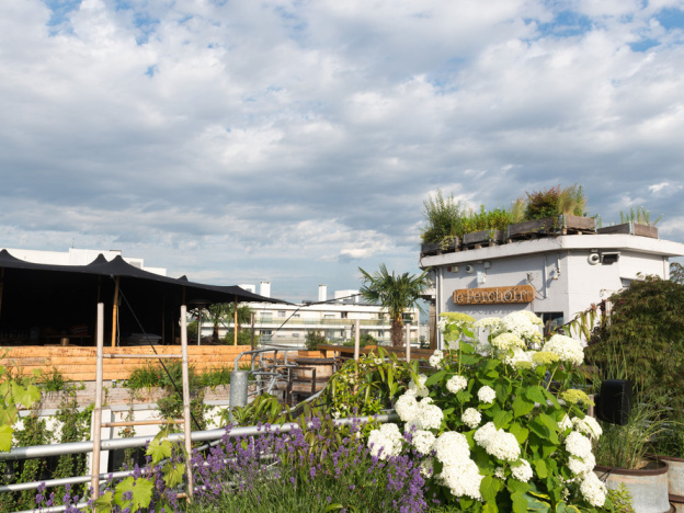 Le Perchoir à Paris