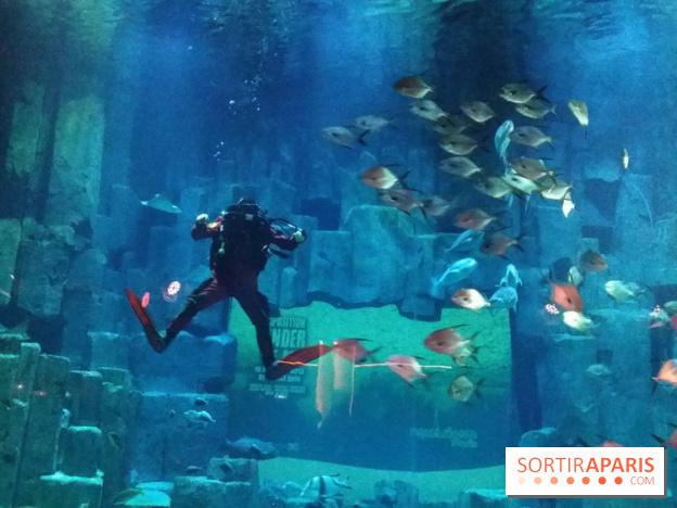 Exposition Under The Pole à l'Aquarium de Paris