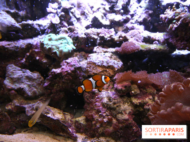 Aquarium de la Porte Dorée à Paris