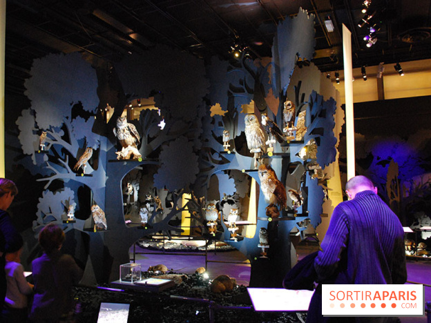 Exposition Nuit au Muséum Natinaol d'Histoire Naturelle