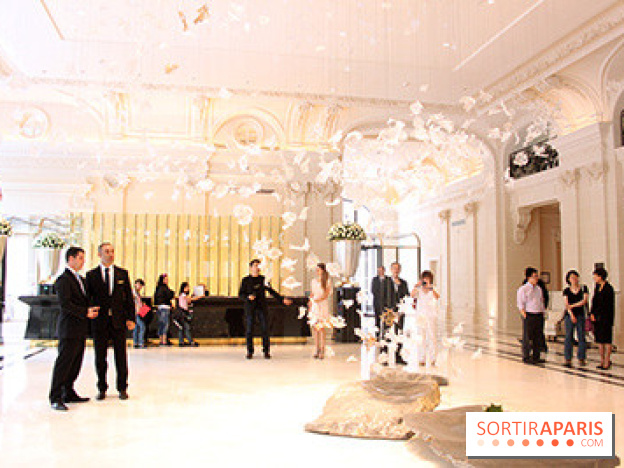 Peninsula : réception