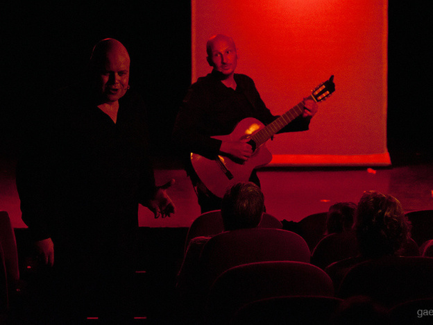Les demi-frères enchantent Nougaro au théâtre de l'Archipel : coup de cœur